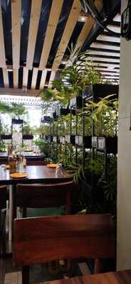 Perch All Day All Night