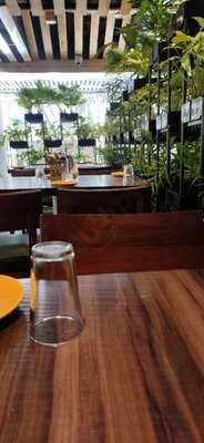 Perch All Day All Night