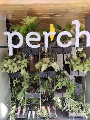 Perch All Day All Night