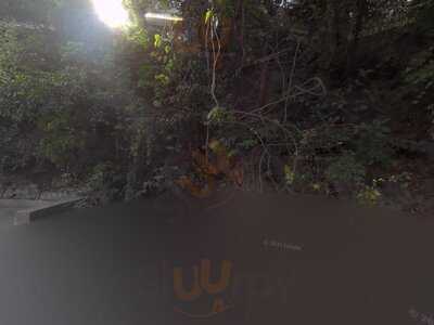 Oliva Italian And Vegan Kitchen