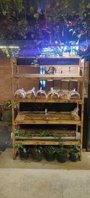 Brik Oven Indiranagar