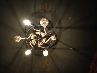 Orion Botanical Rooftop And Bar