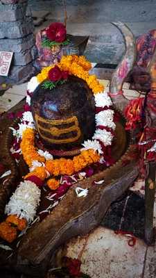 Phulwari Hotel And Restaurant