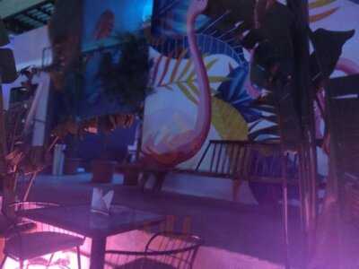 Liit - Live Iit Today