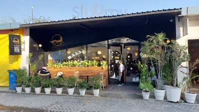 Quick Brown Fox Coffee Roasters