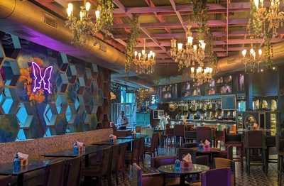 Butterfly High, Thane