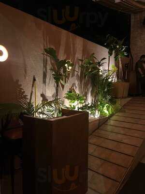 Qora- Cocktail Bar & Kitchen