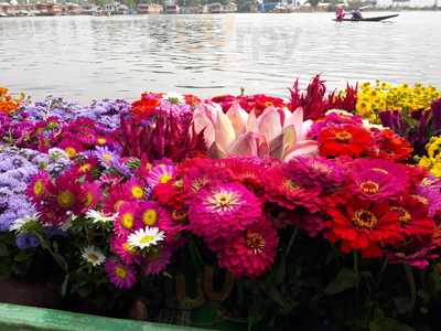 Zaindari Palace Restaurant
