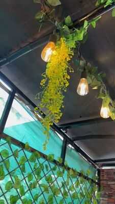 Panchayat-the Kulhad Cafe