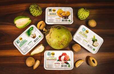 Thanco's Natural Icecream