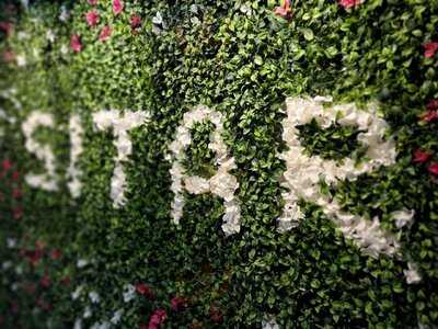 Sitar Cafe Pizzeria Restaurant