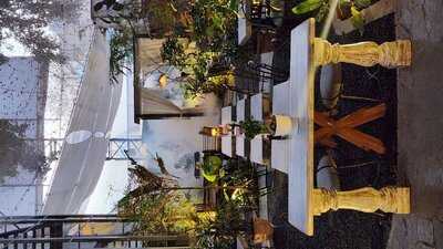 Gulmohar - Bar & Curryhouse