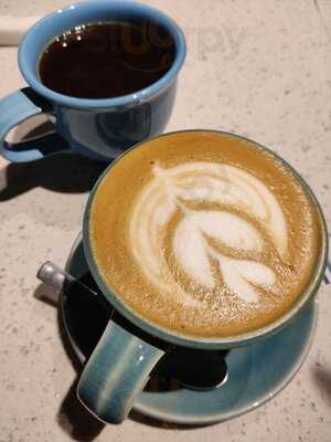 Blue Tokai Coffee Roasters