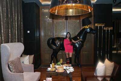 Stallion Bar & Lounge