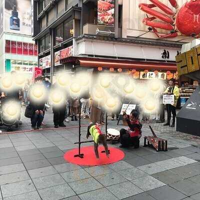 かに道楽 道頓堀本店