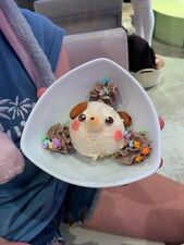 めいどりーみん Shibuya