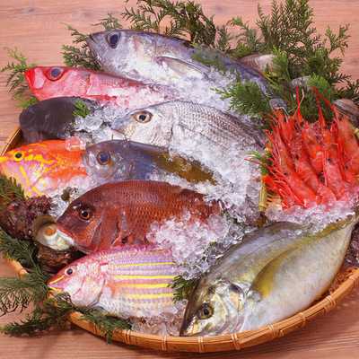 魚食主義 きんき