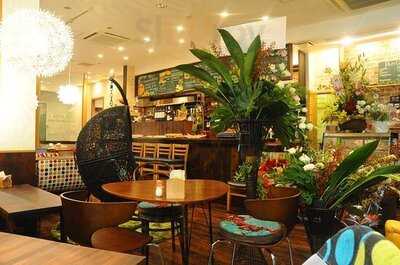 Dericafeペルチ（perch）