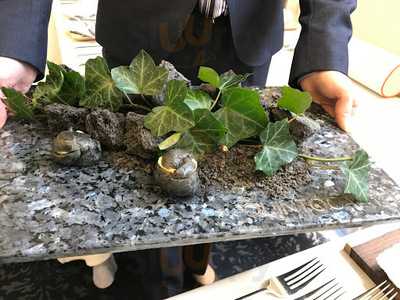 クイントカント