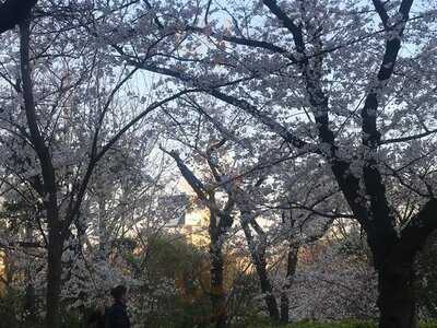 叙々苑 游玄亭 ホテルニューオータニ大阪店