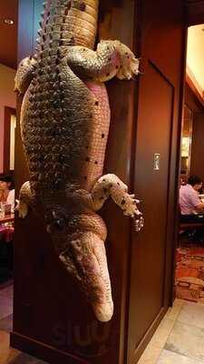 アウトバック ステーキハウス 梅田店