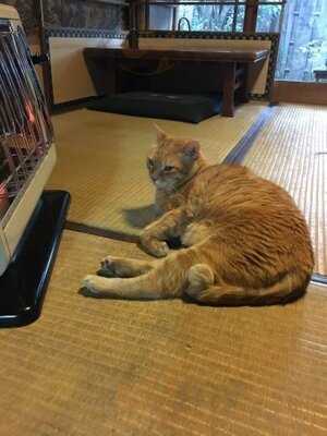 京都生ショコラ オーガニックティーハウス