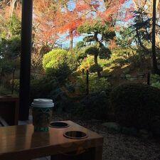 スターバックスコーヒー 京都宇治平等院表参道店
