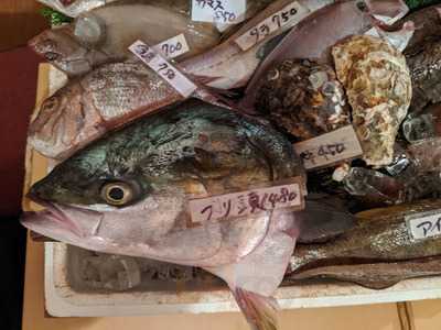 居魚屋うおはん　立町店