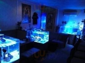 アクアロマンス オールブルー