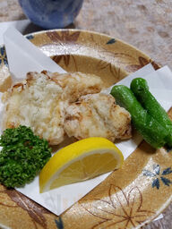 波満蝶