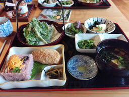 農家レストラン つみ菜カフェ うどんげ