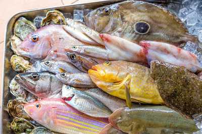 ロルキ デ ブランシュ (hotel Greges)