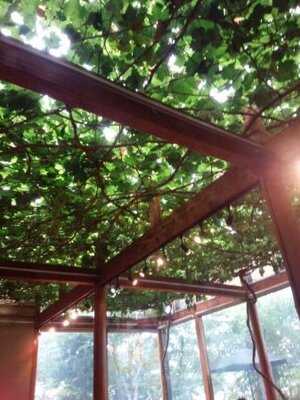 自然流菓子処 川端風太朗