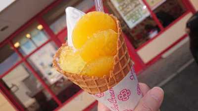 北キツネの大好物神湊店