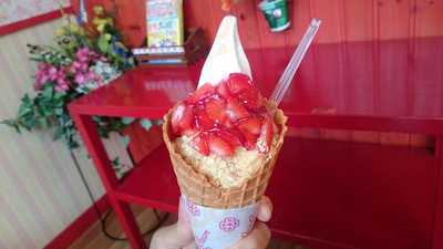 北キツネの大好物神湊店