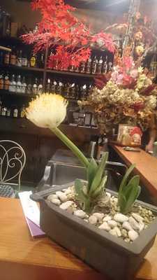 食い処酔っとくれ