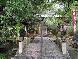 金熊寺梅林 古谷