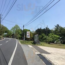 沙羅
