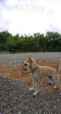 沖縄bbqビアガーデン＆キャンプ場