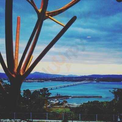 フランス料理シス（６）