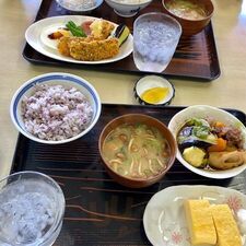 日本晴食堂