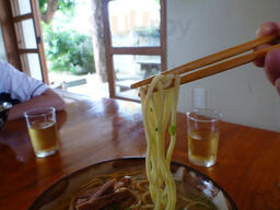 来夏世