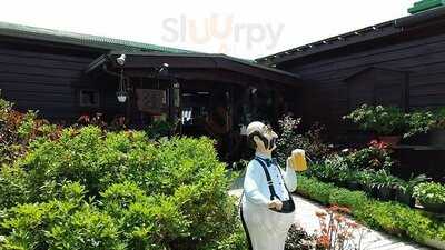 カフェ くるくま