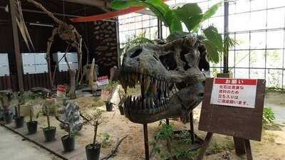 カフェ くるくま