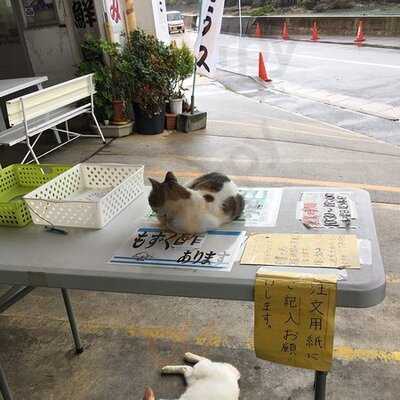 中本鮮魚てんぷら店