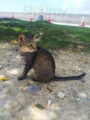 大城てんぷら店