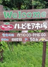 ハッピーモア市場