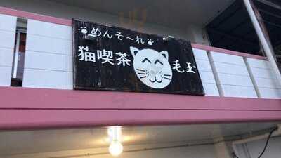 猫も遊べる喫茶店 毛玉