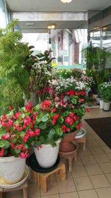 チャーリーレストラン