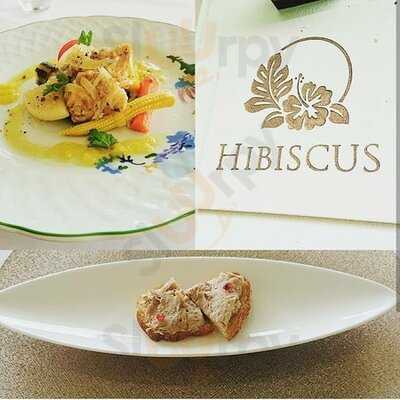 Hibiscus